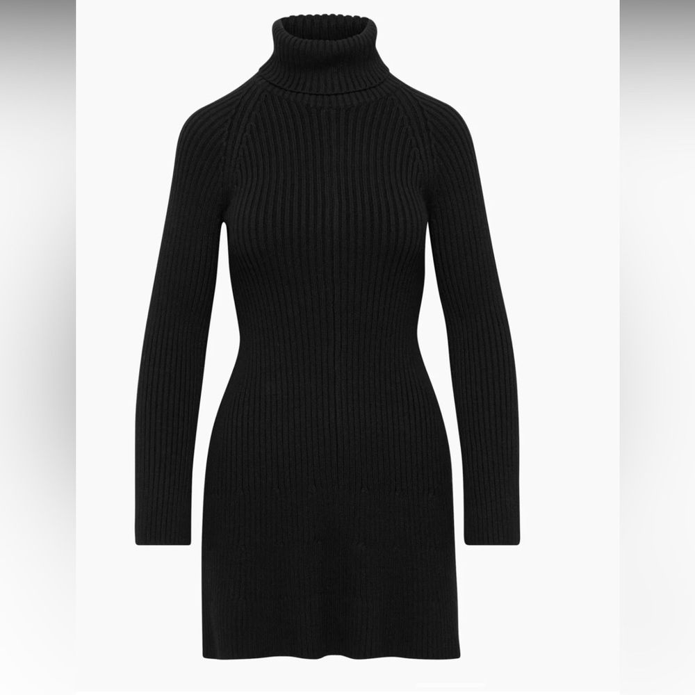 NWOT Aritzia Sunday Best Rhapsody Dress- Organic Cotton & Cashmere